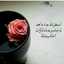 حلا 