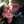 liv_windebank
