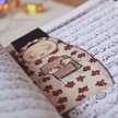 Manar Ahmad 