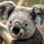erna erpiana