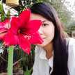 Bach Nguyet