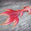sheree.whisenant