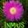 Inmius Lp