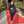 Priyal Khandelwal