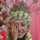 Arrazaq Banjarmasin Arrazaq Banjarmasin