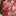 Gingersnap84
