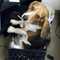 mandybradley733