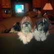 l3mossbluff