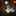 l3mossbluff l3mossbluff