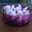valily valily
