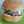 ranih