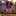 Fragrantfindings Fragrantfindings