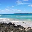 whiteswan