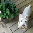 mindy.vanhouten