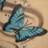 butterflysim13
