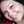 amanda.galindo.528
