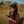Ashna