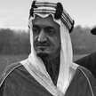 شهد الاسمري