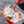 Foodsnote