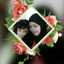Dian fs