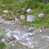 farheenanwar