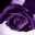 launa