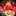 kimrose111 kimrose111
