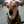 amanda.baker.967