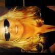 tammy.mosey