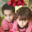 Mohab Mahmoud