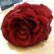 yomna.khaled