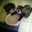 marie.stauder marie.stauder
