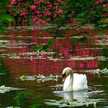 shivshah