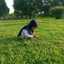 pipit retno wijayanti