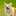 cook_108148685 cook_108148685