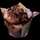 chocmuffins