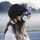 fatma.sg.3