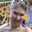 Janna