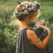 Hafsa