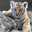 tigerlily5885 tigerlily5885