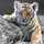 tigerlily5885