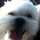 Hachiwinnie