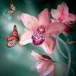 kriti.dattsingh