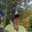 karen.cagle.501 karen.cagle.501