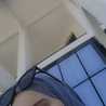 Radjaa_Ahmed_Habib