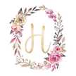 Hanan 3lm
