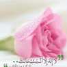 منتهى منتهى