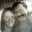 Tina Theroux