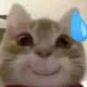 ô kê ô kê
