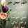 Asmaa Shaban Asmaa Shaban